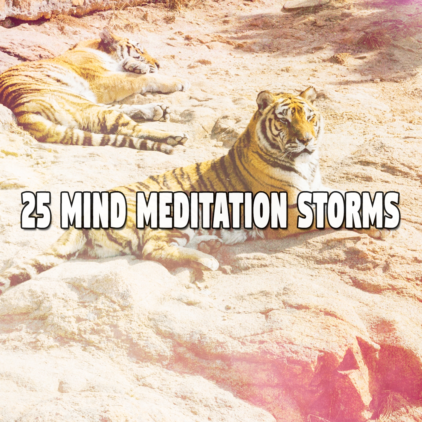 25 Mind Meditation Storms