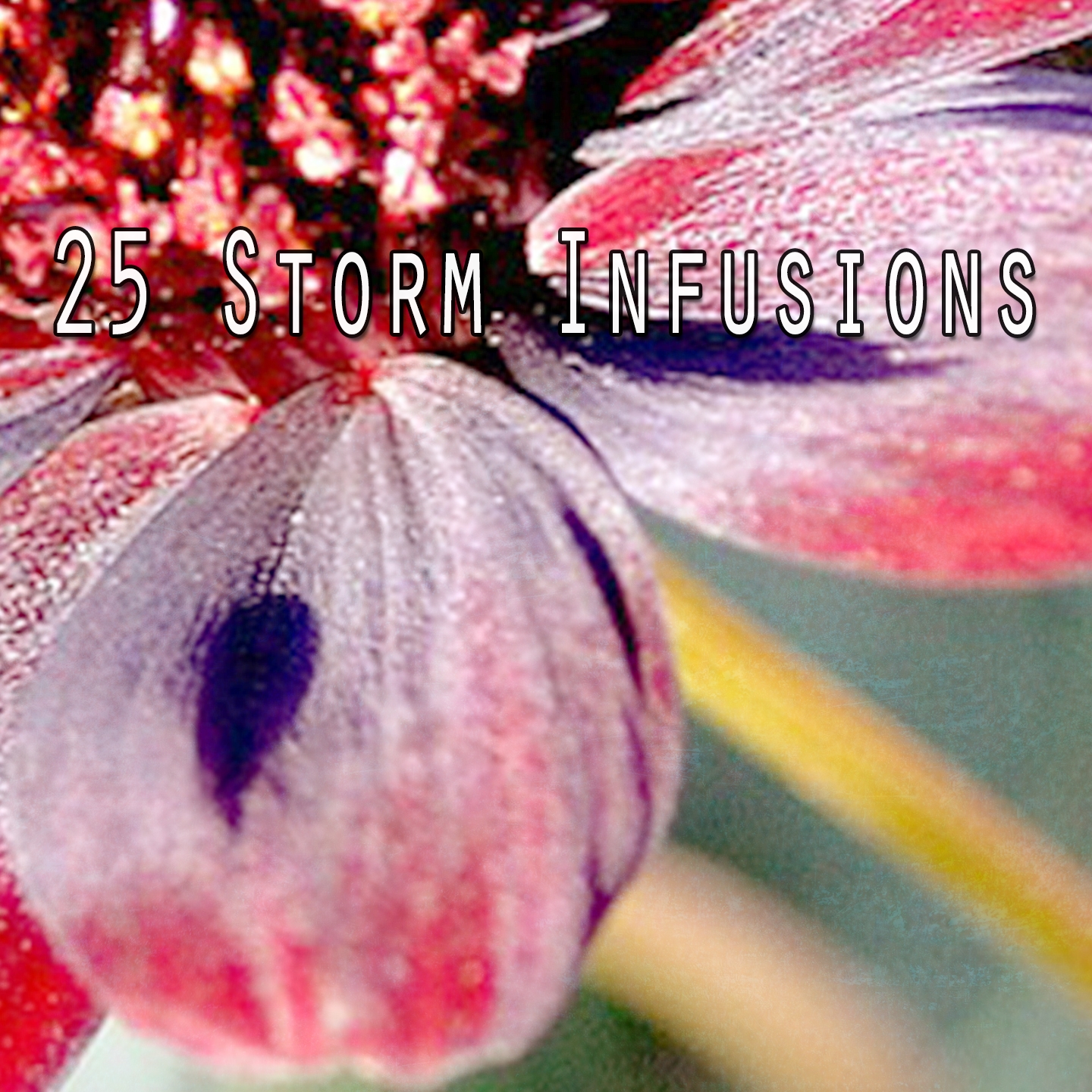 25 Storm Infusions