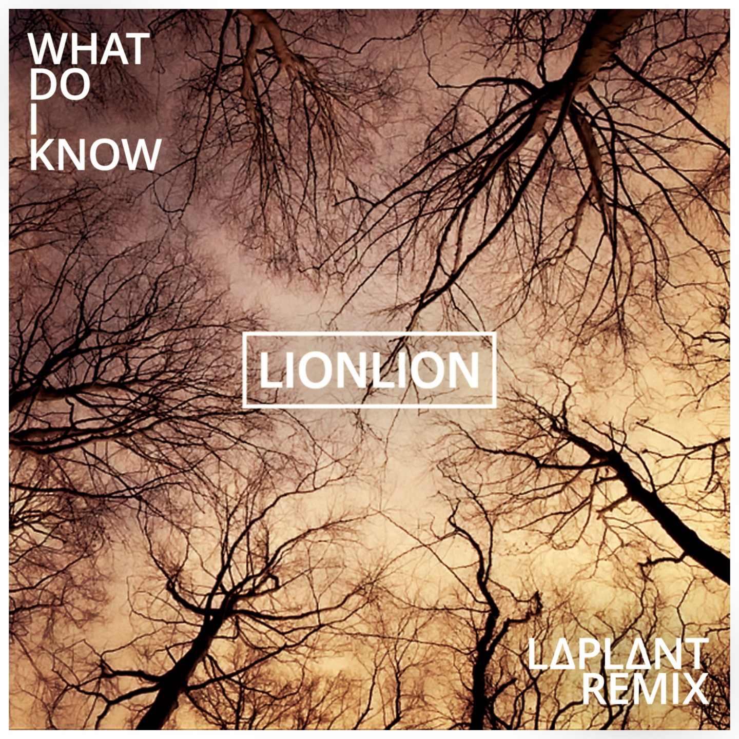 What Do I Know (L∆Pl∆Nt Remix)