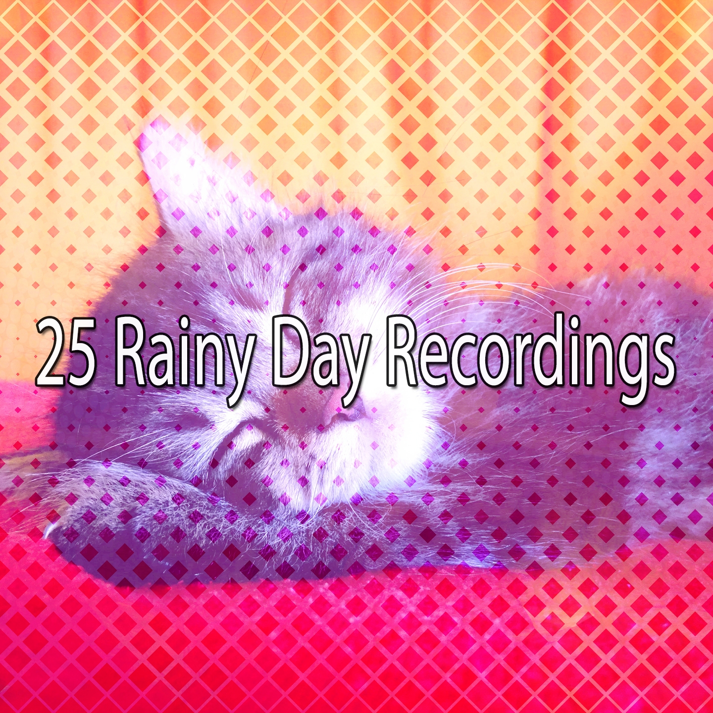 25 Rainy Day Recordings