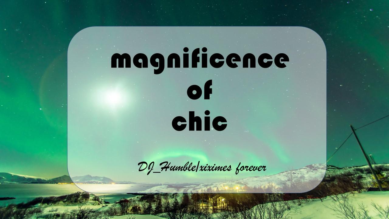 magnificence of chic