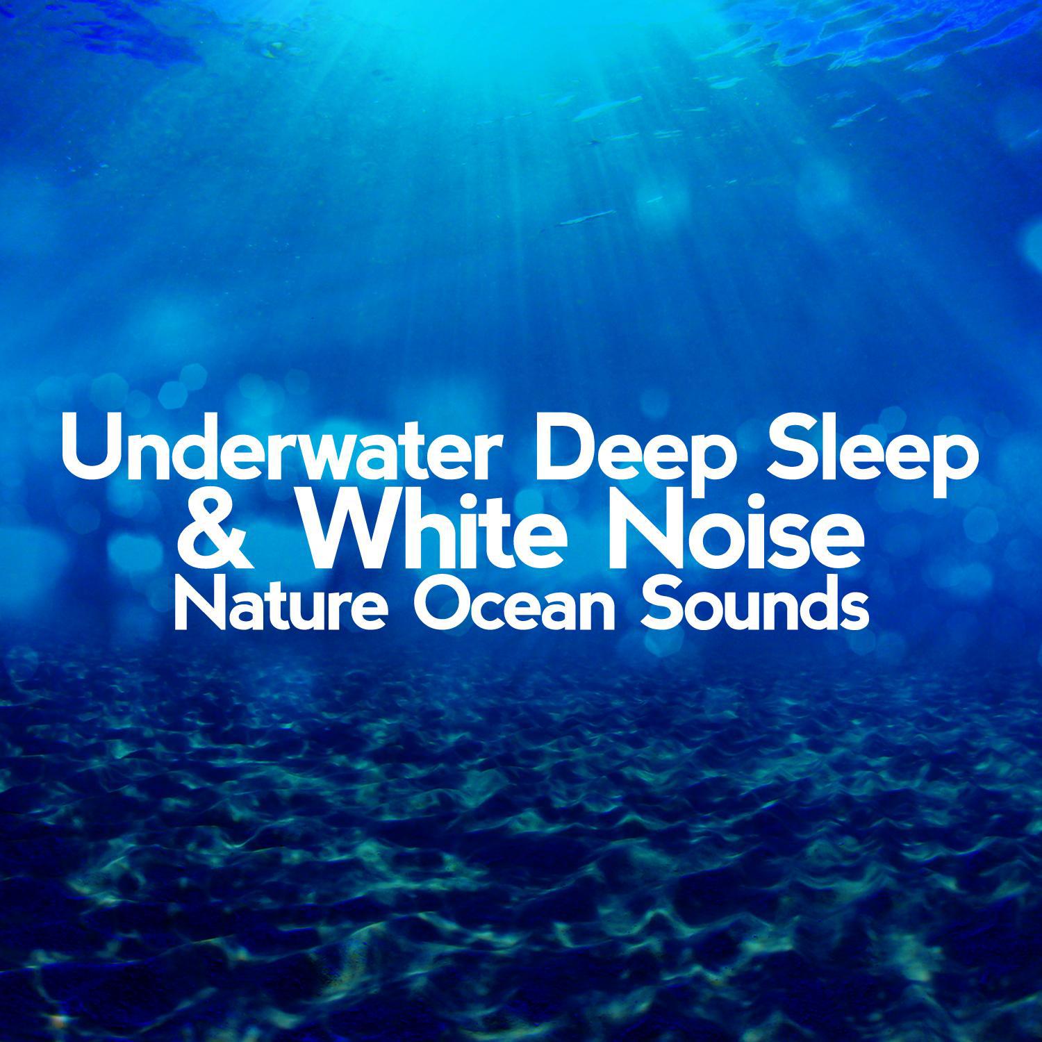 Ocean Surf Sounds