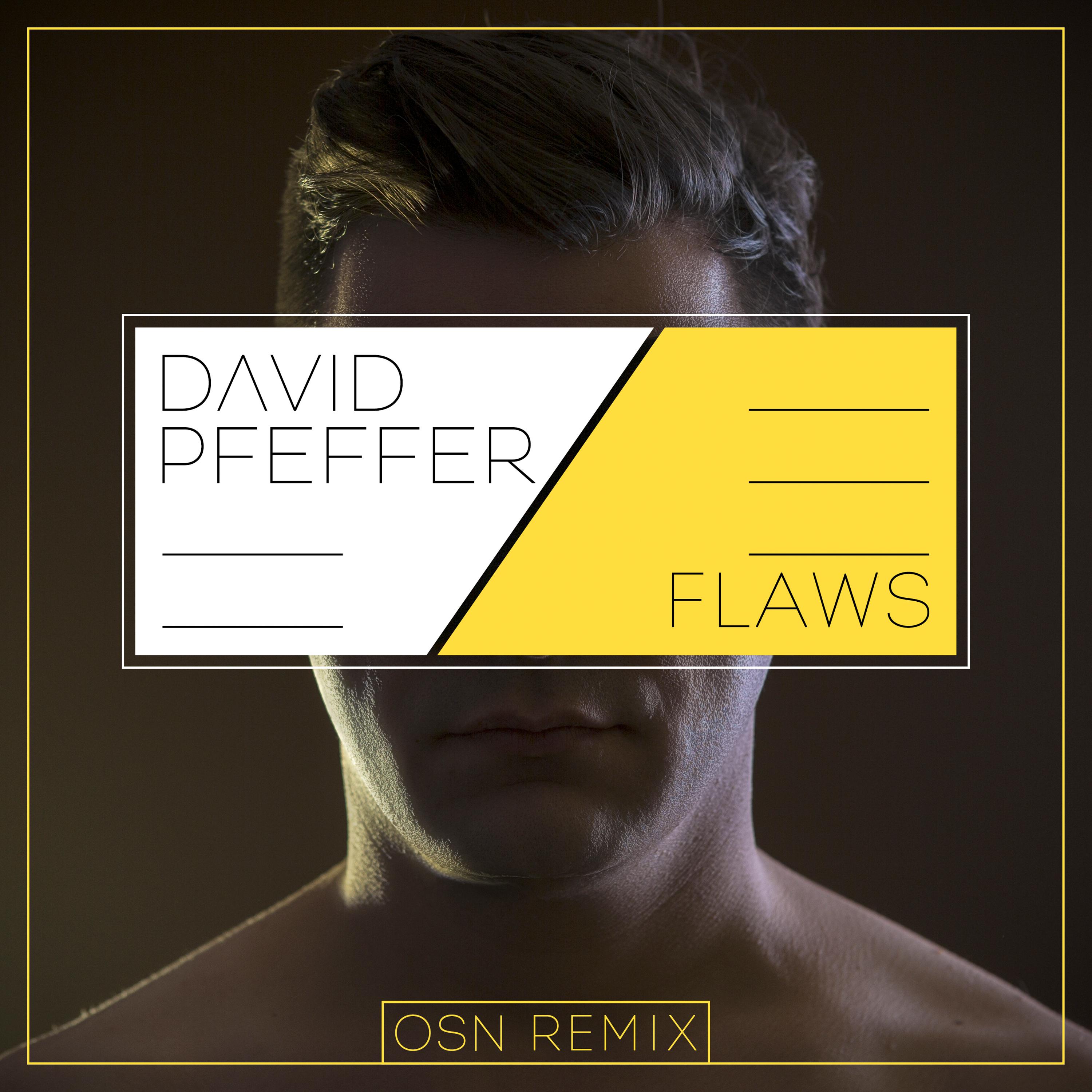 Flaws (OSN Remix)