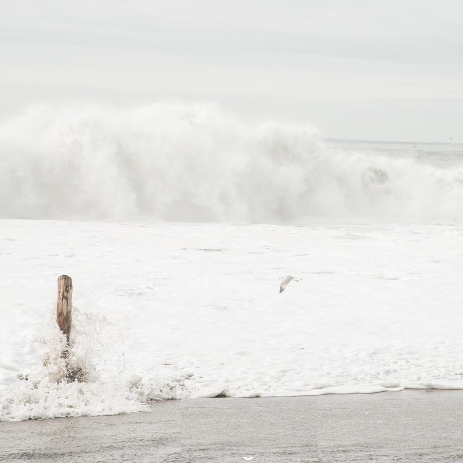 Roaring Pacific Ocean Waves