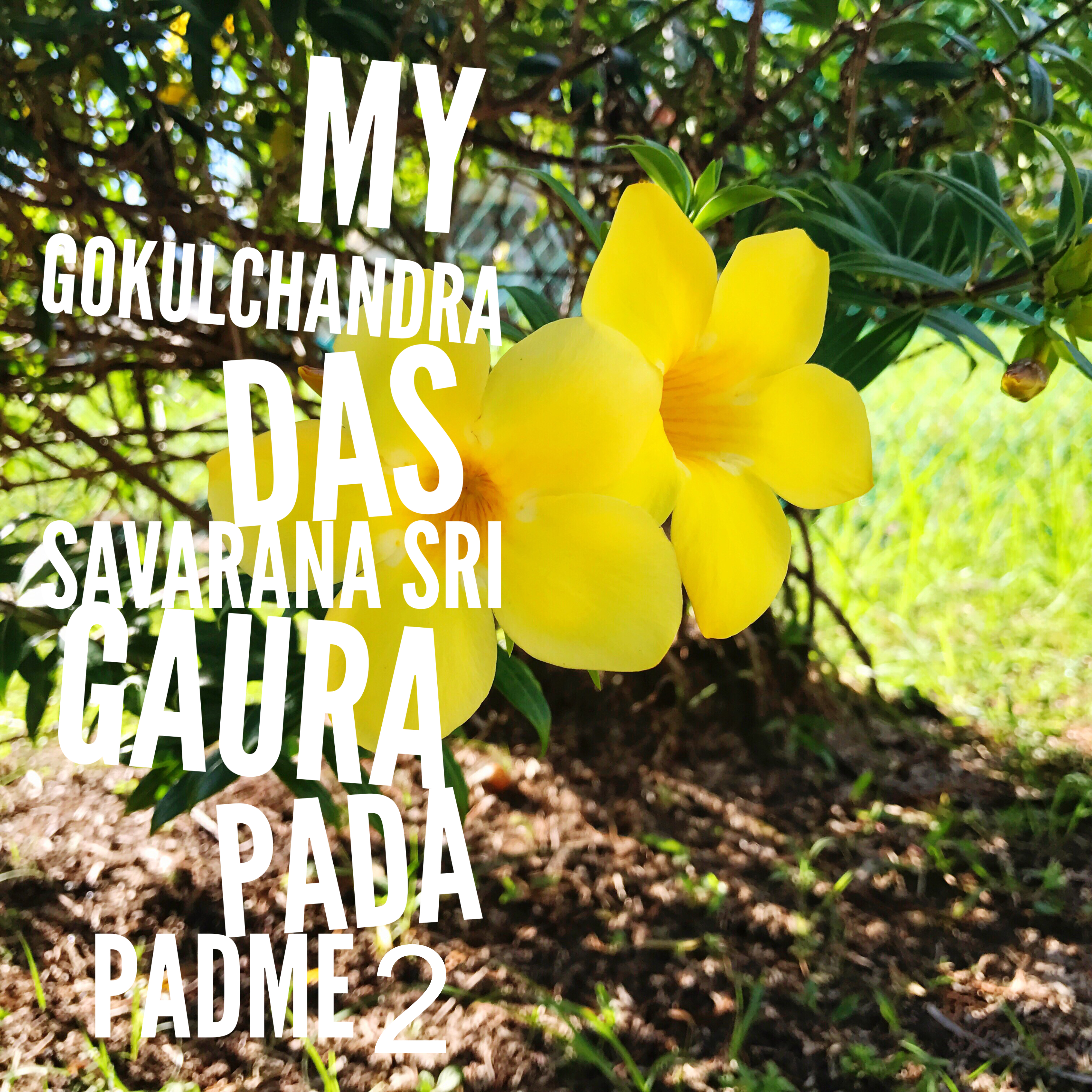 Savarana Sri Gaura Pada Padme 2