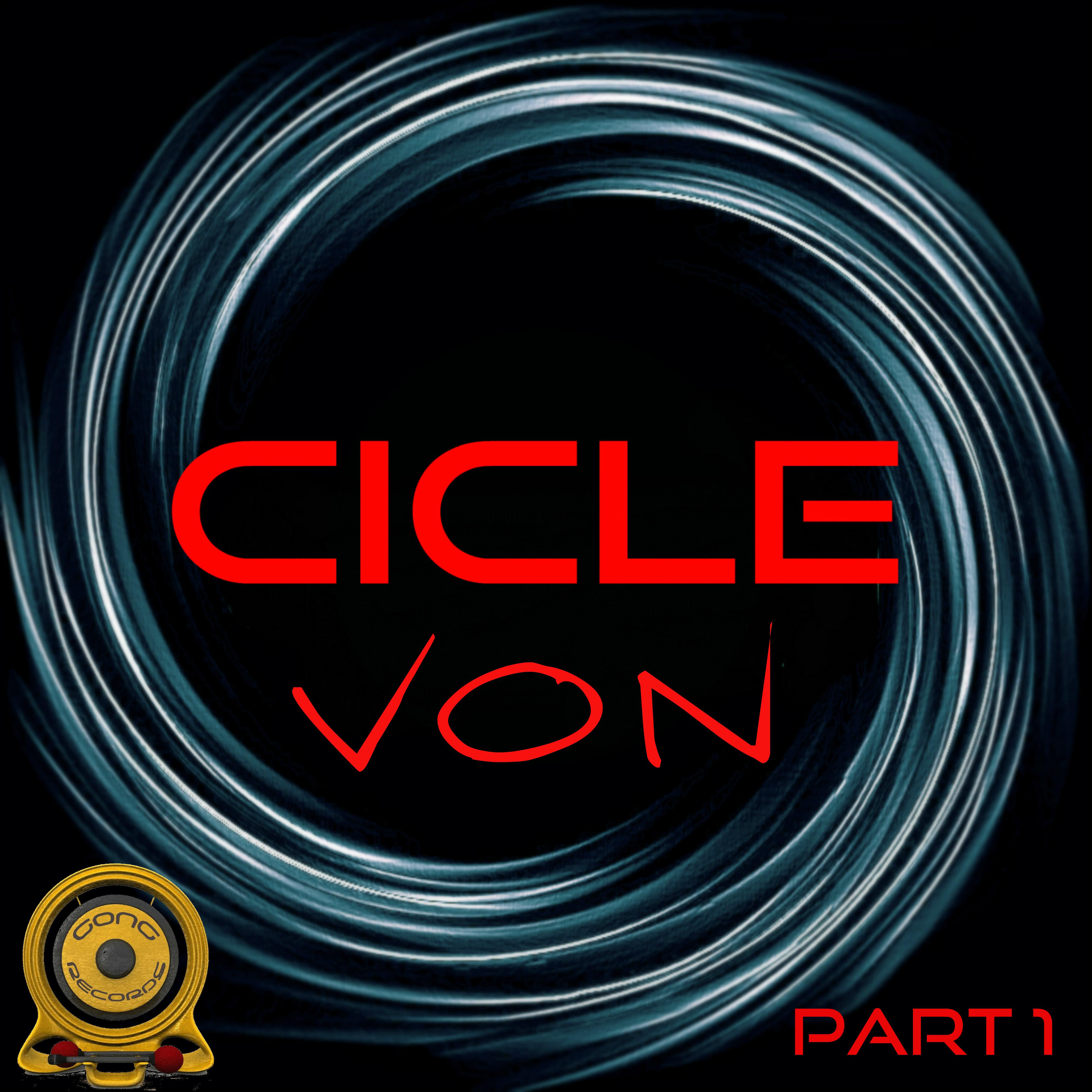 Cicle 2