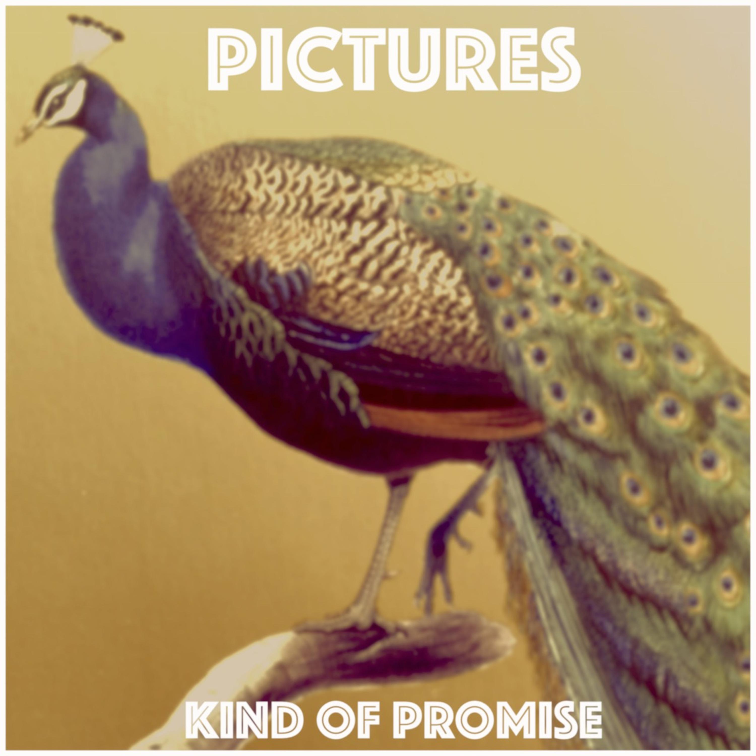 Kind of Promise (Acoustic)