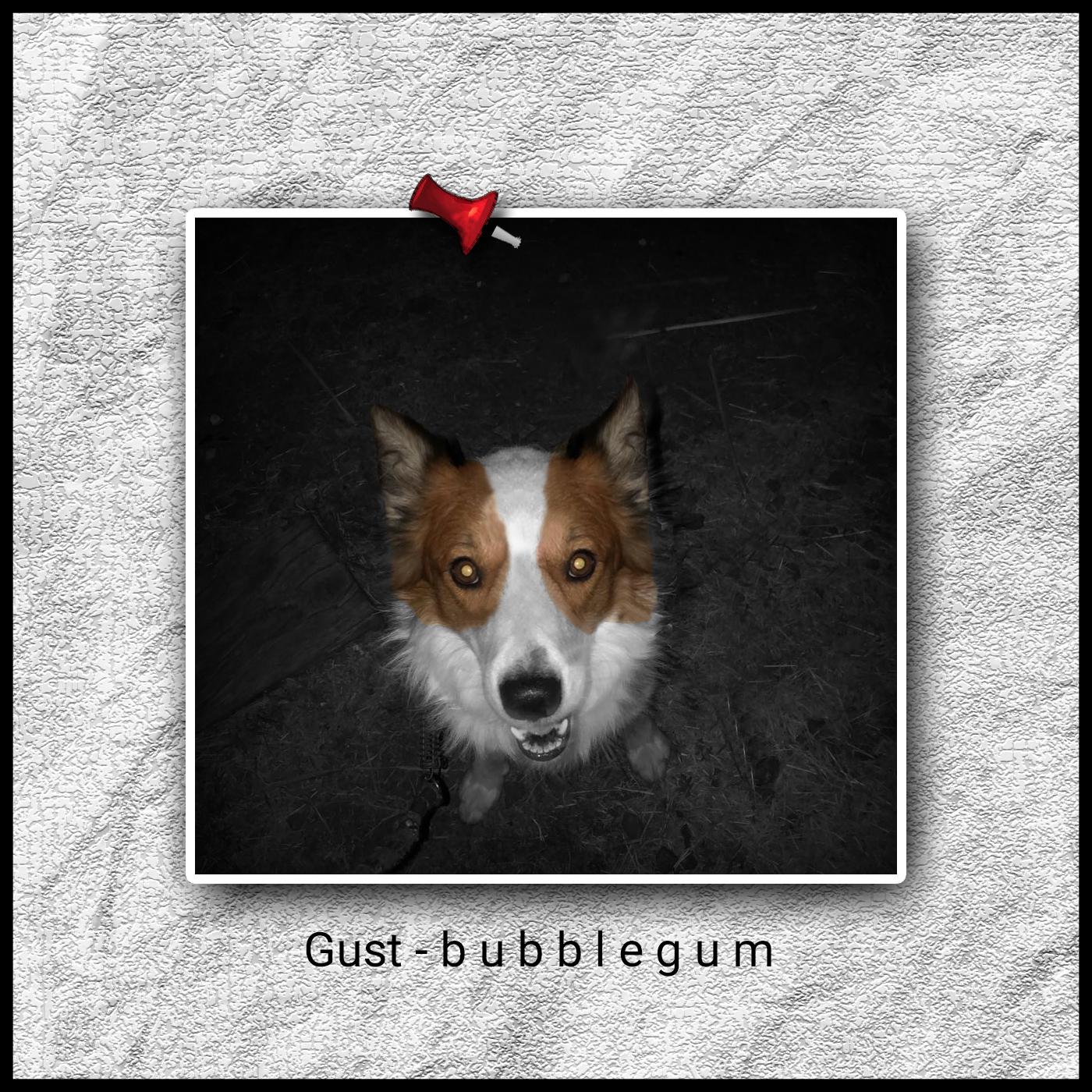 Bubblegun