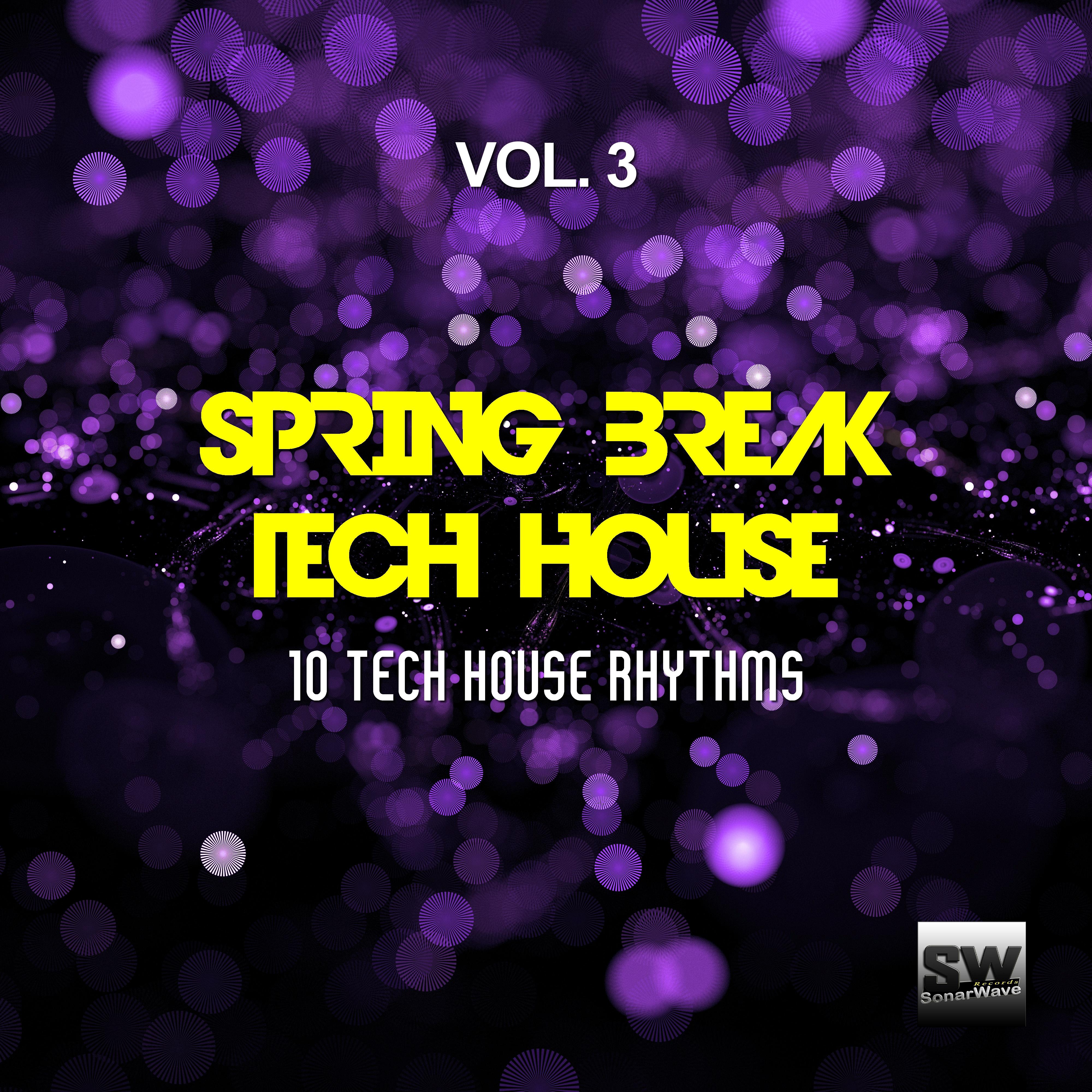 Spring Break Tech House, Vol. 3 (10 Tech House Rhythms)