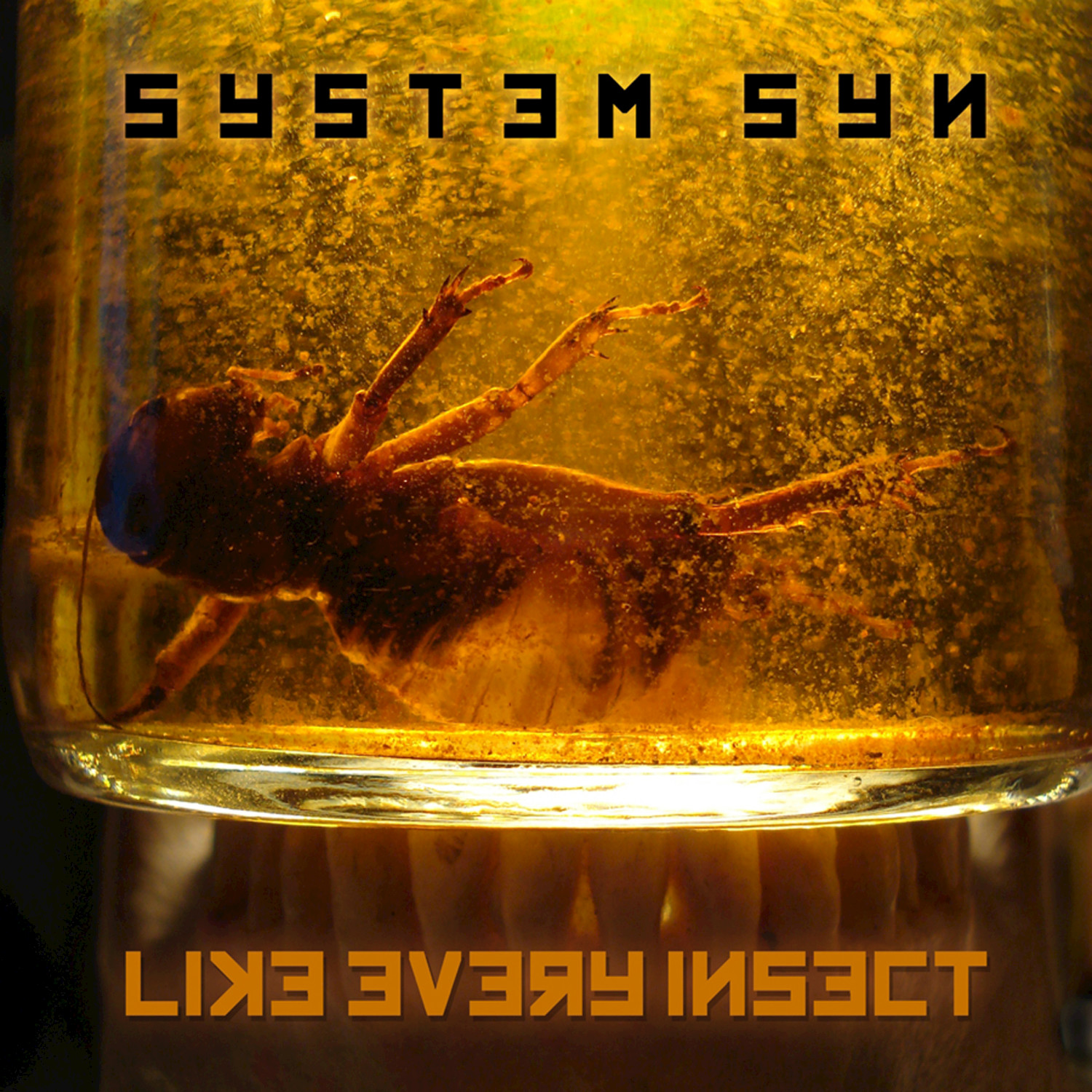 Like Every Insect (Existential Mix by Babyland)