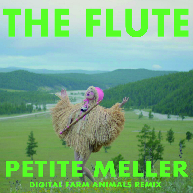 The Flute (Digital Farm Animals Remix)