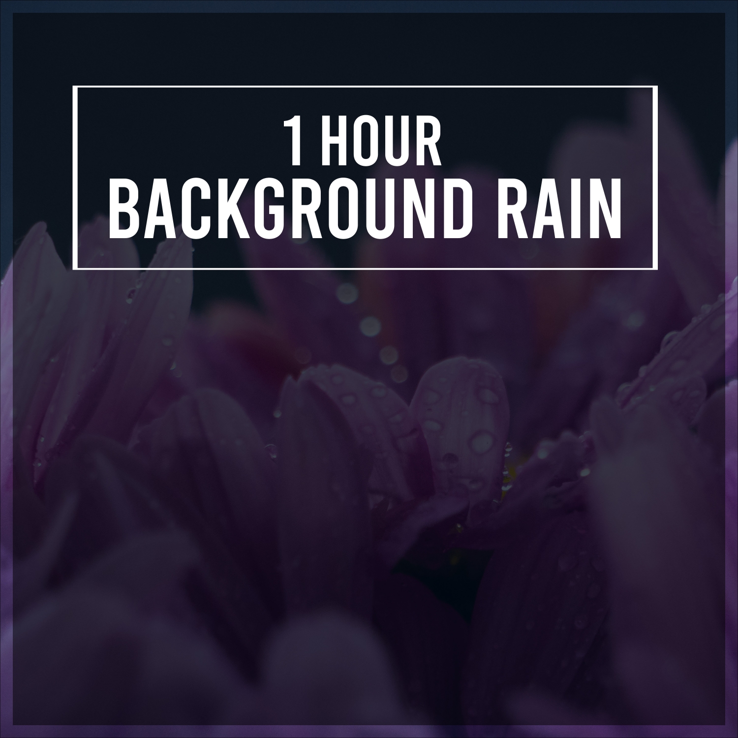 1 Hour Background Rain Album for Deep Sleep