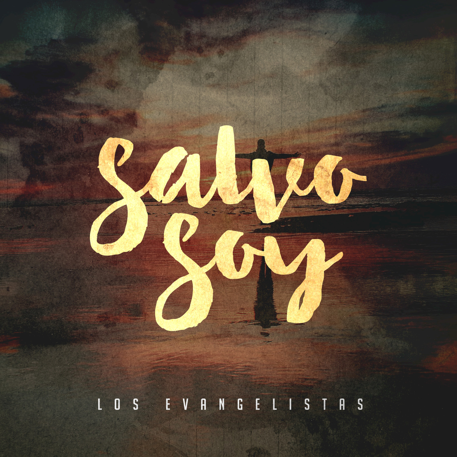 Salvo Soy