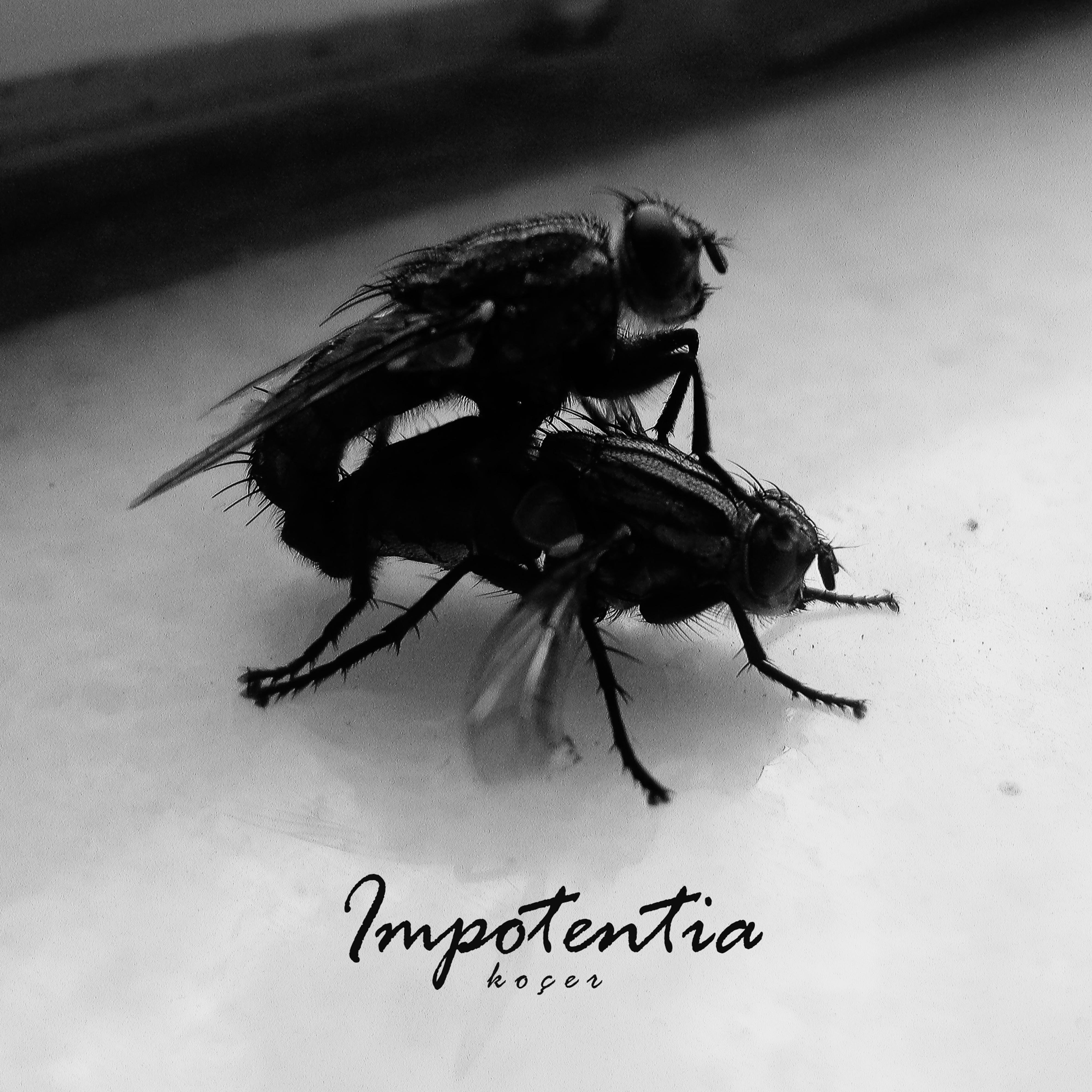 Impotentia