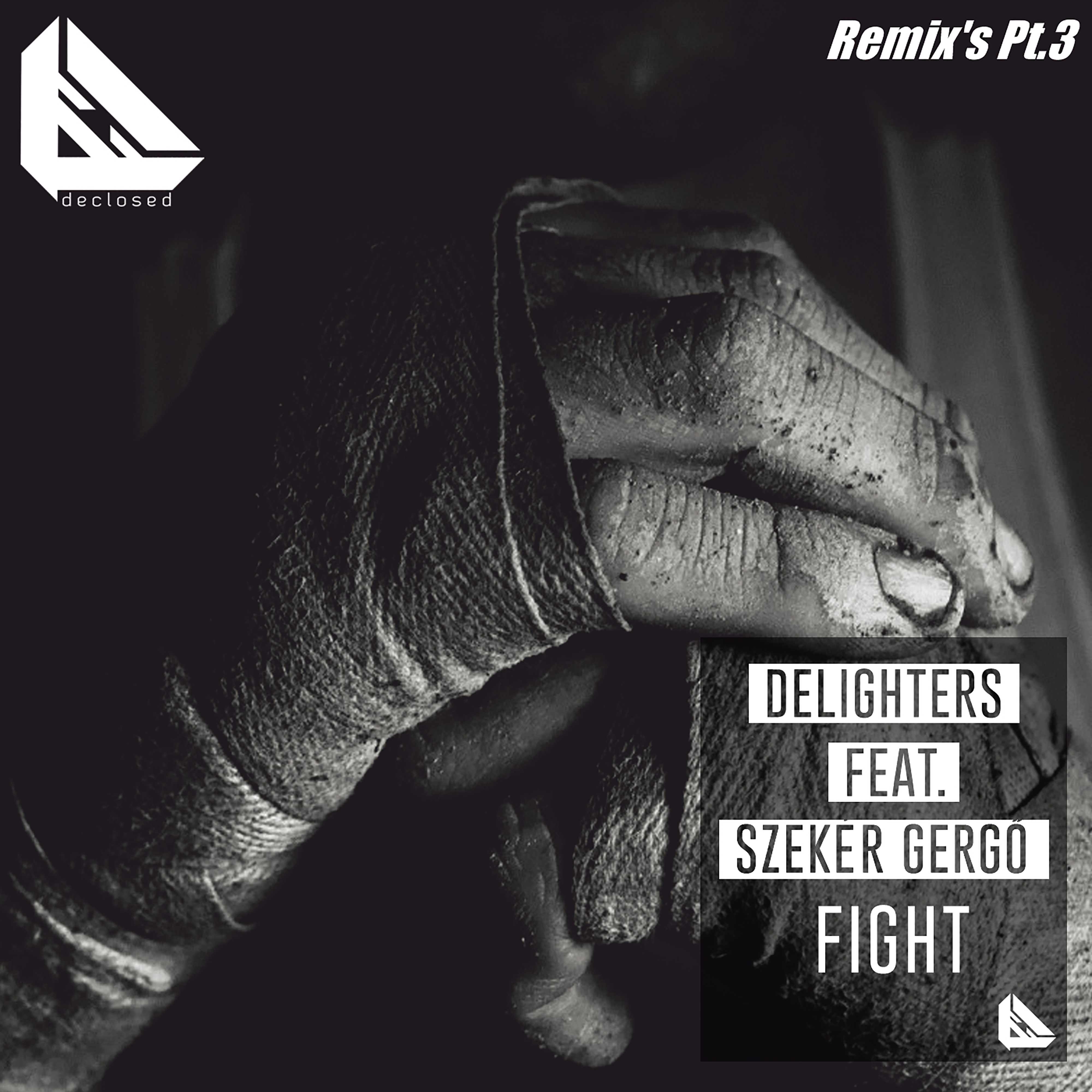 Fight (Dion Remix)