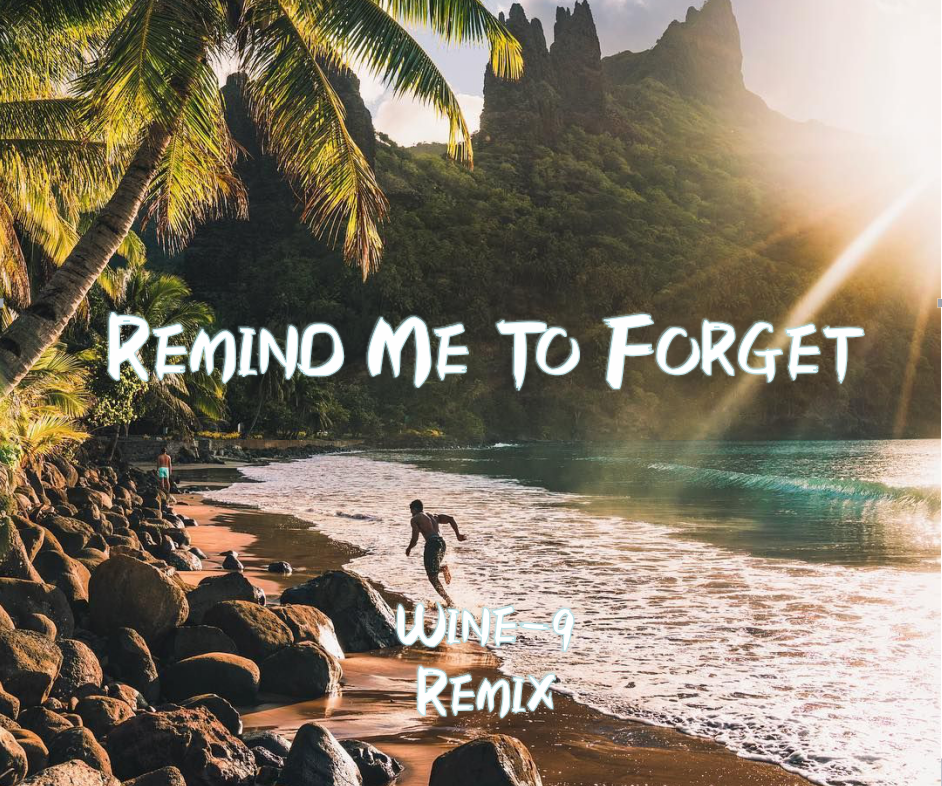 Remind Me To Forget (Wine-9 Remix)