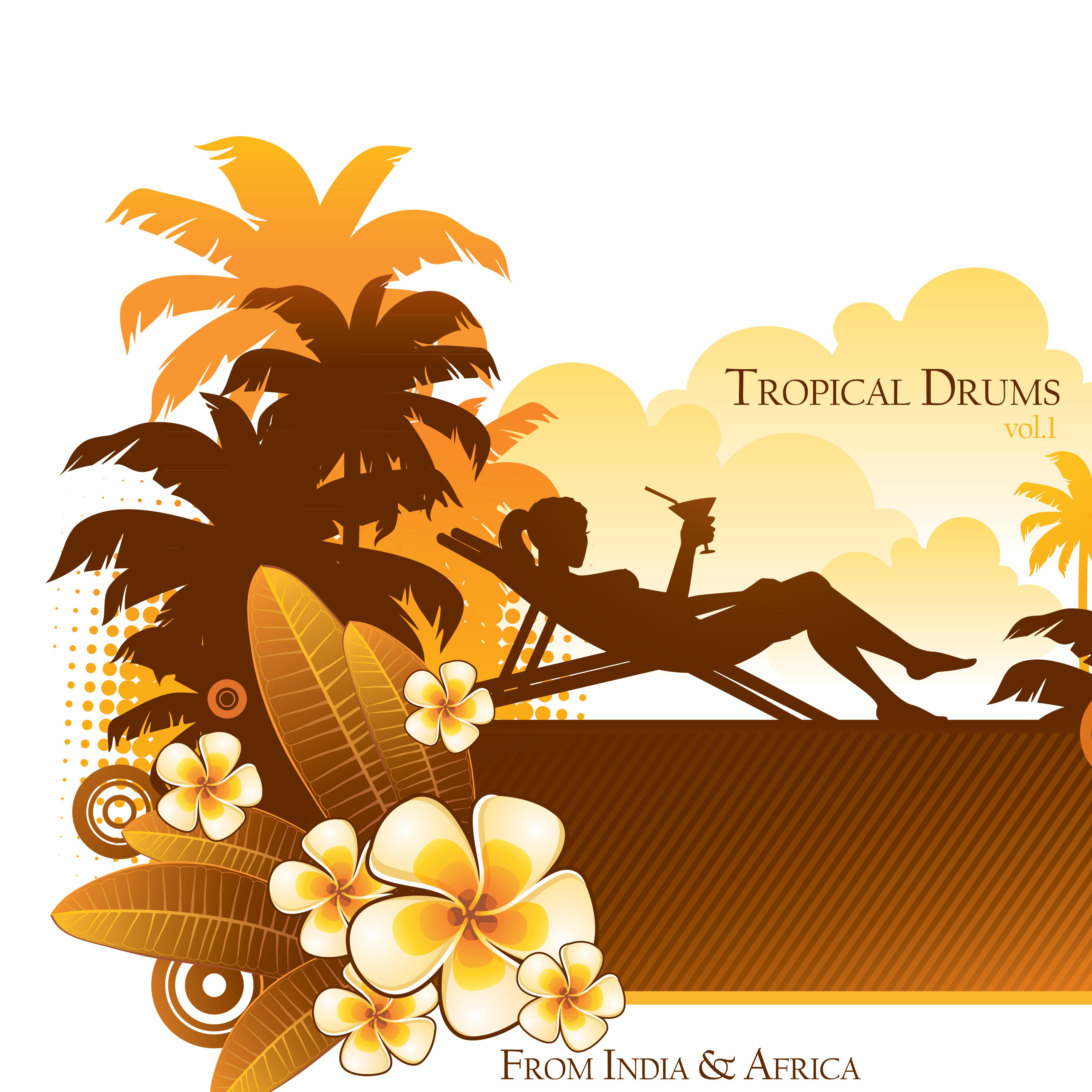 Tropical Drums, Vol. 1 (From India & Africa)