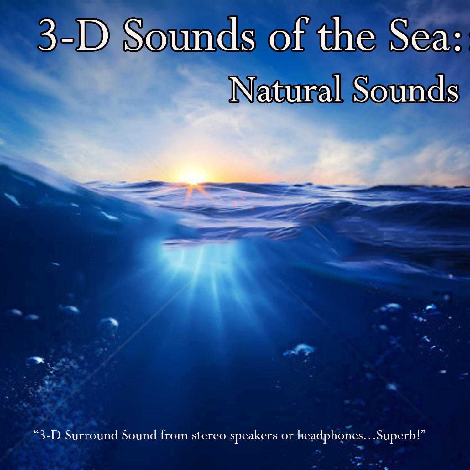 3-D Sounds of the Sea: Natural Sounds