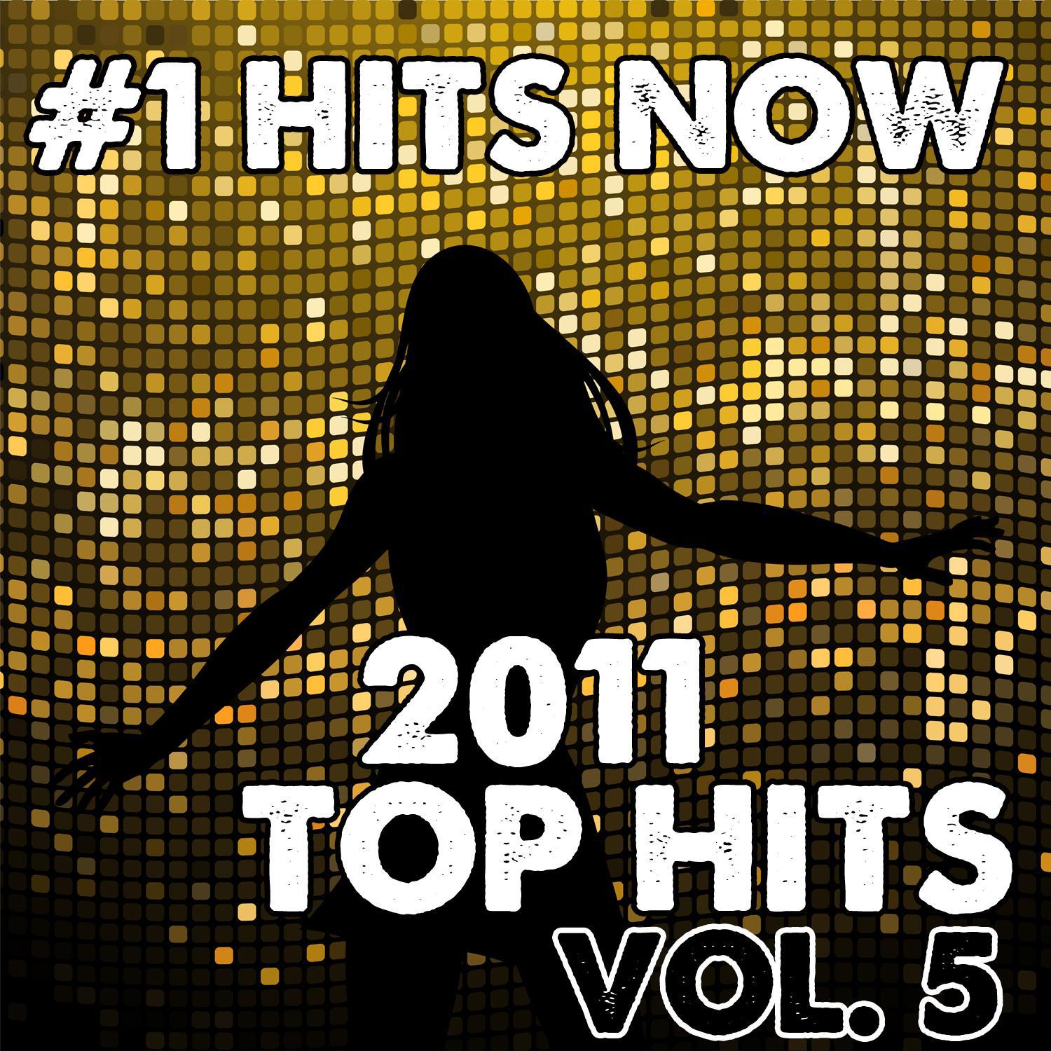 2011 Top Hits Vol. 5