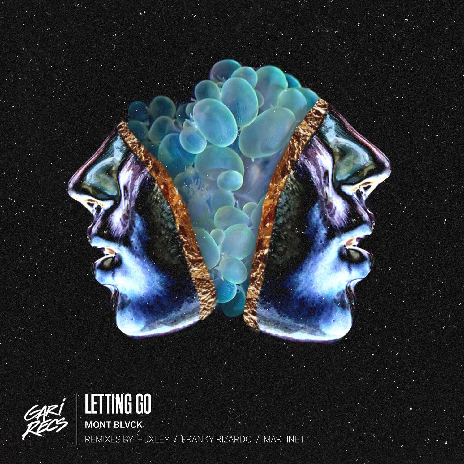 Letting Go (Radio Edit)