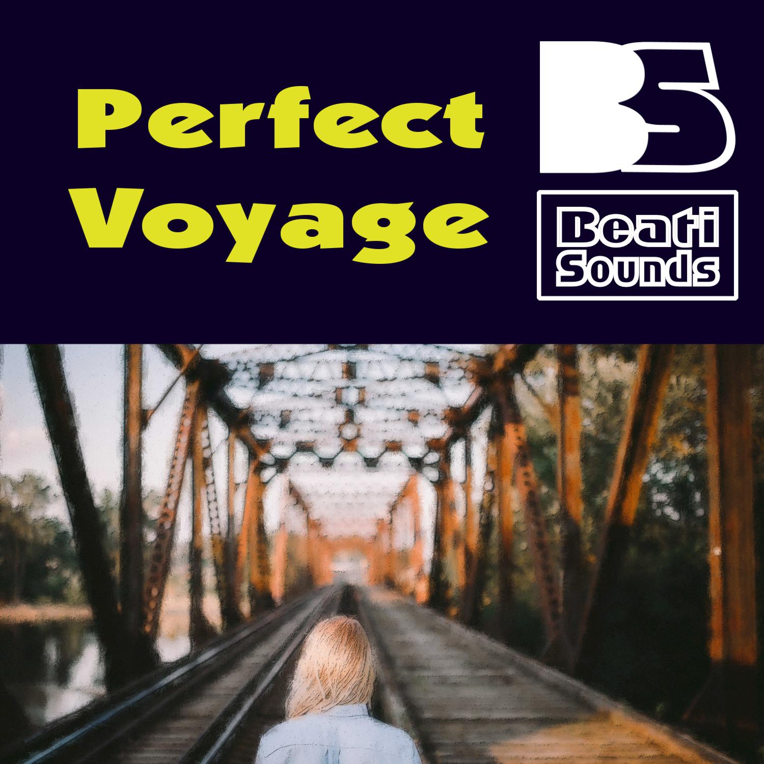 Perfect Voyage (Trance Version)