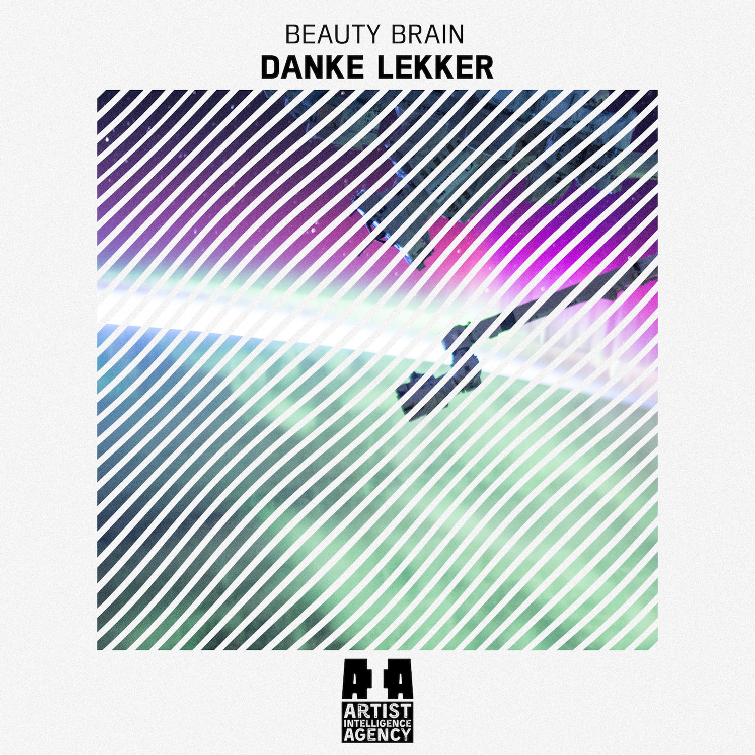 Danke Lekker - Single