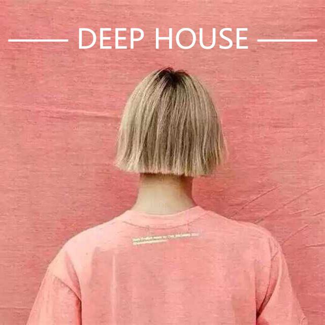 车载专用 高端深度Deep House