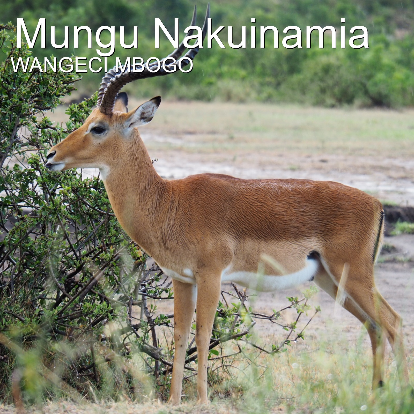 Mungu Nakuinamia