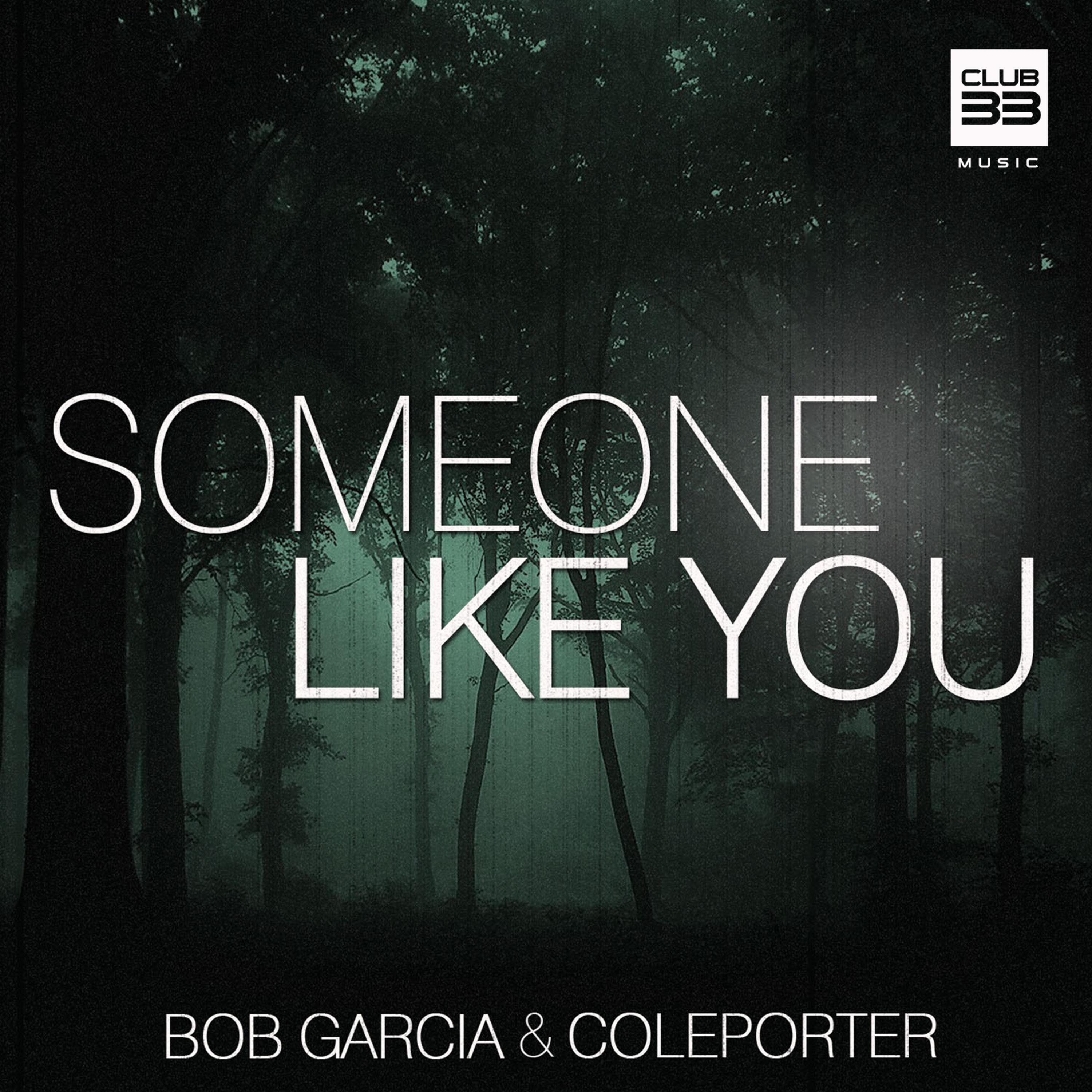 Someone Like You (Extended)