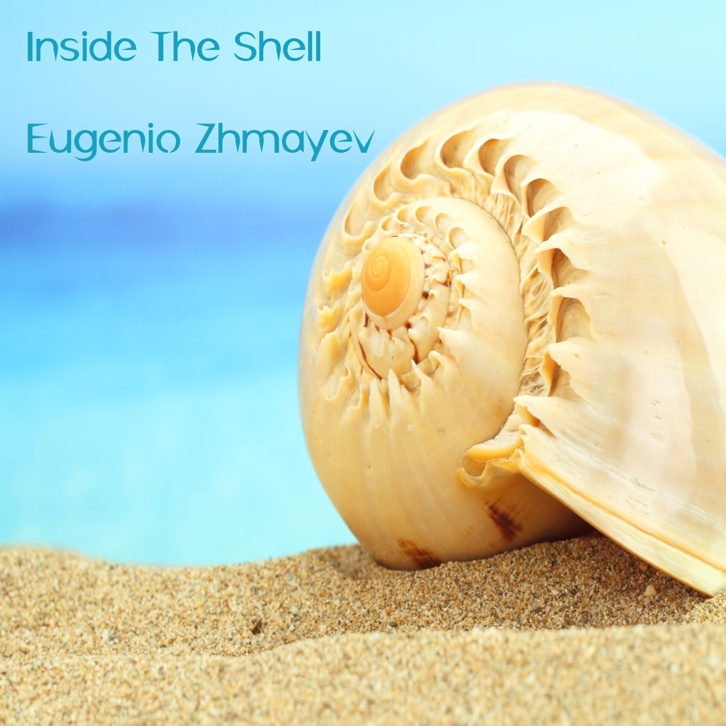 Inside the Shell