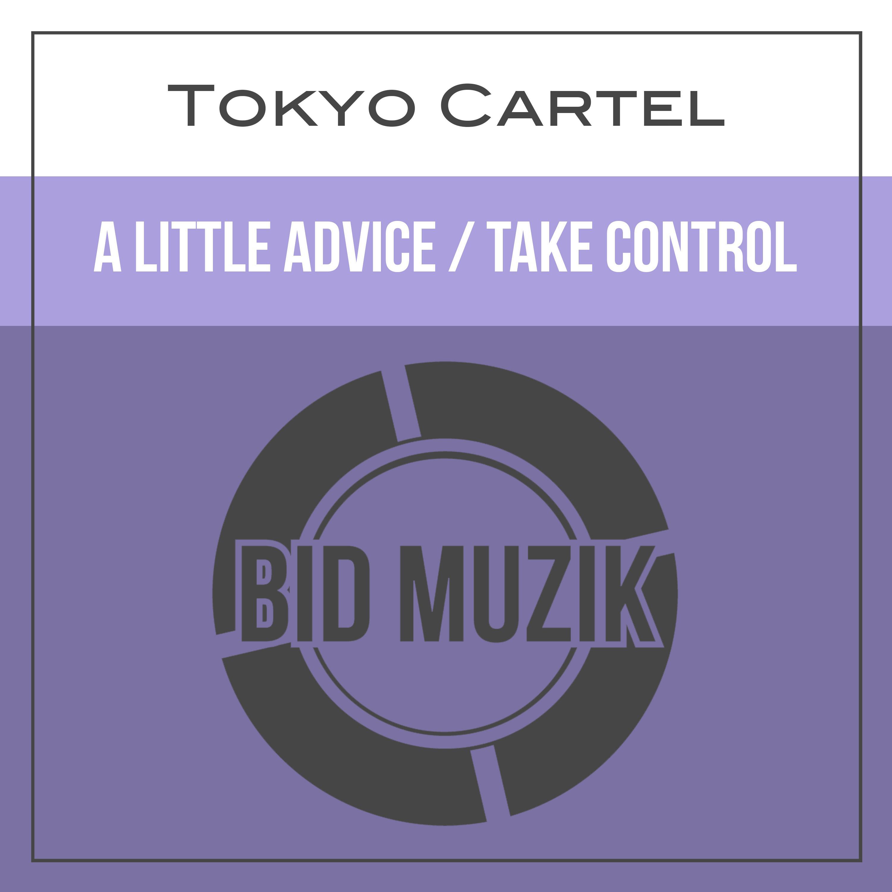 Take Control (Original Mix)