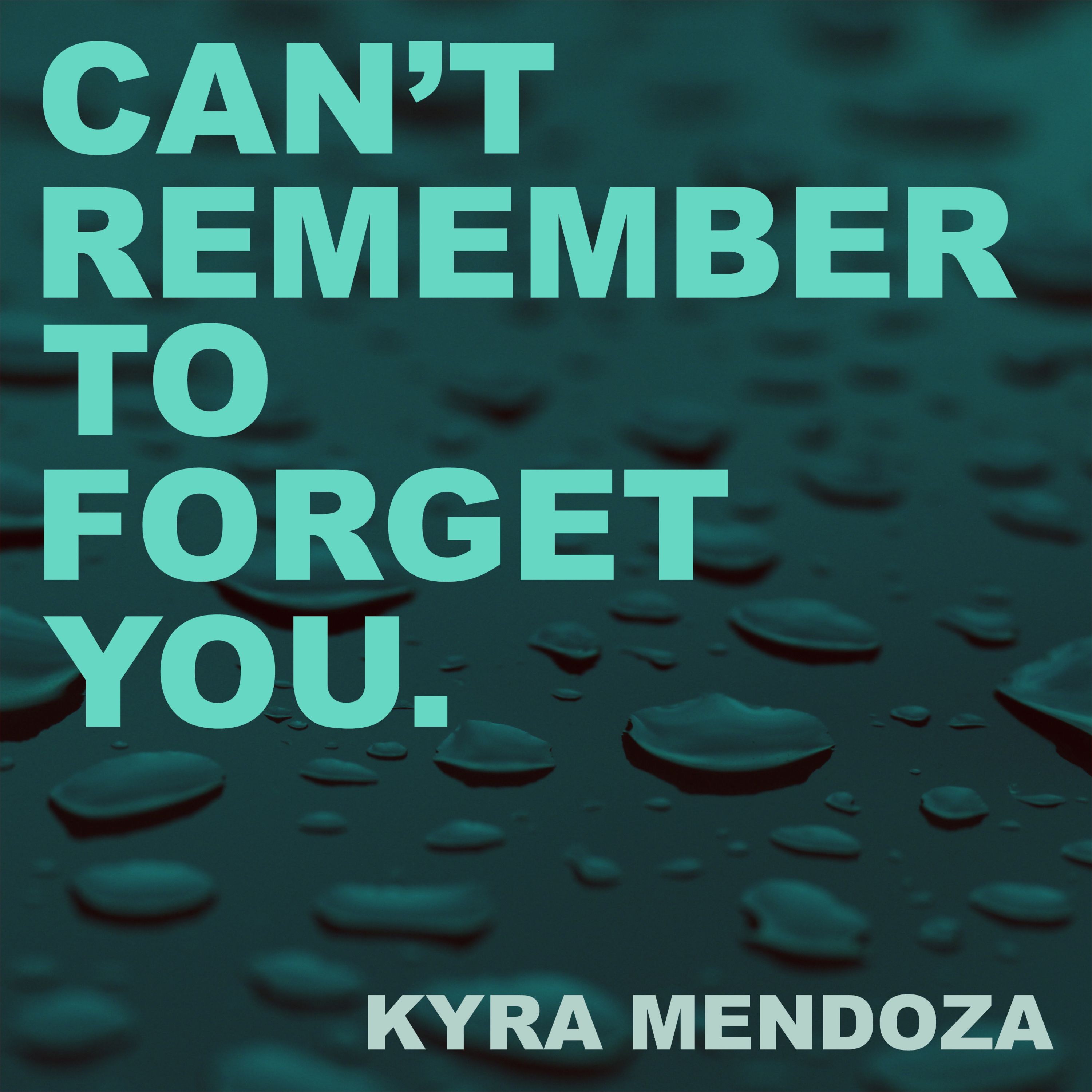 Can't Remember to Forget You