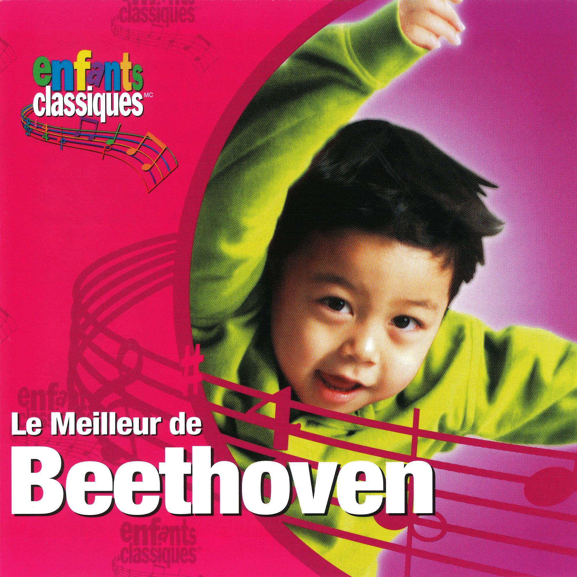 Le Meilleur De Beethoven