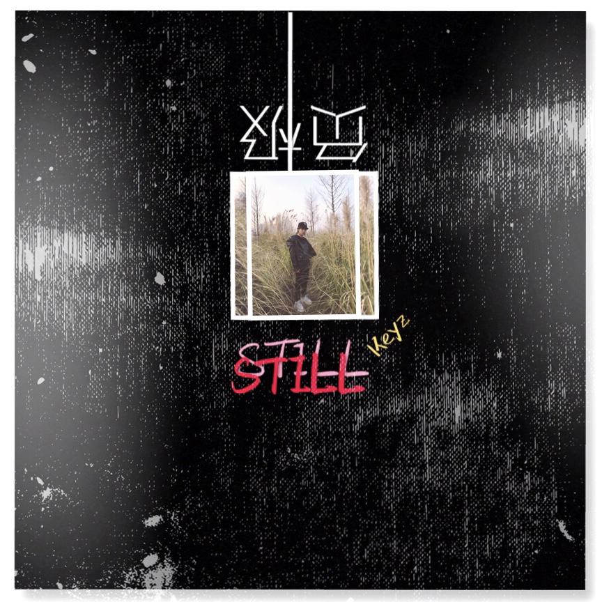 负极Still