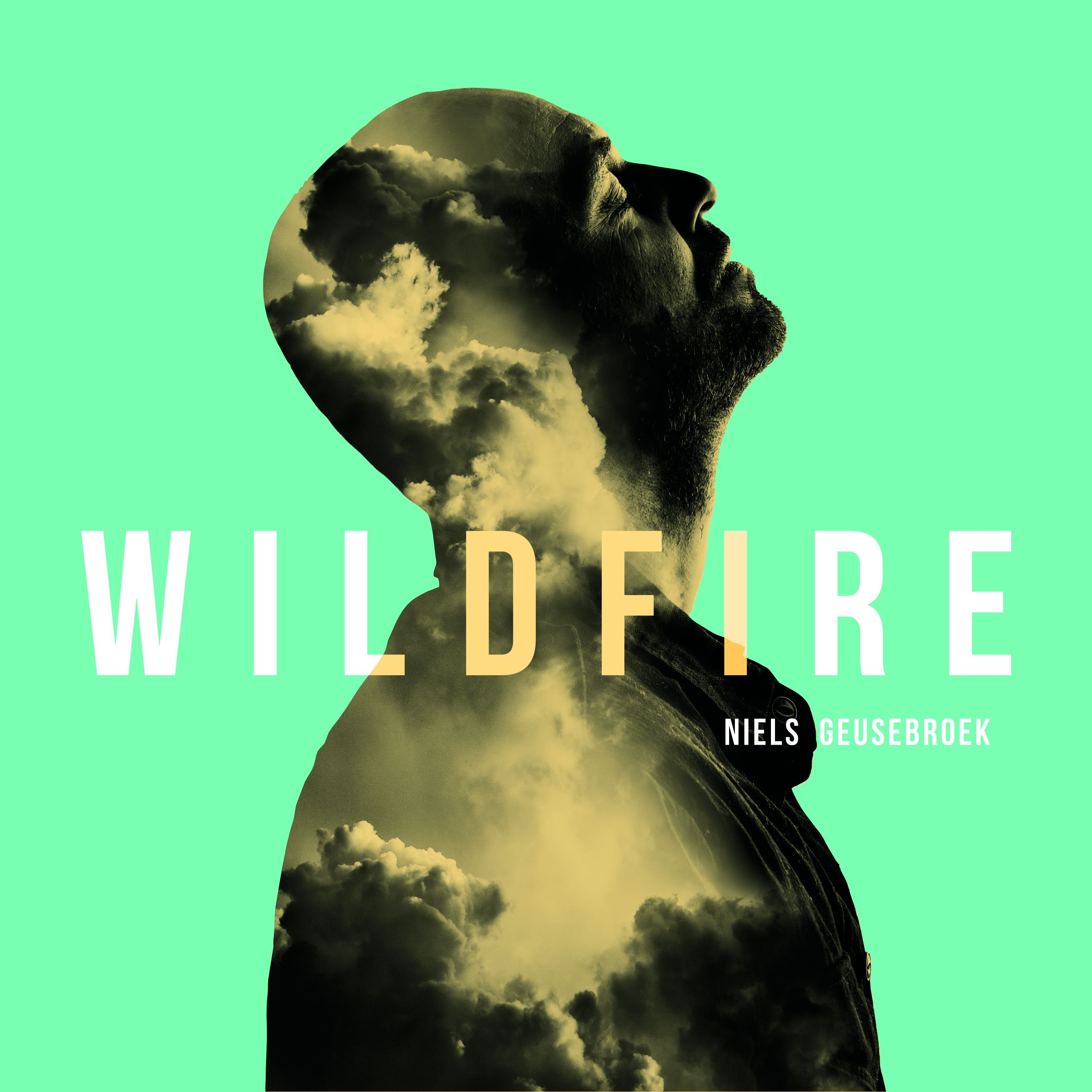 Wildfire