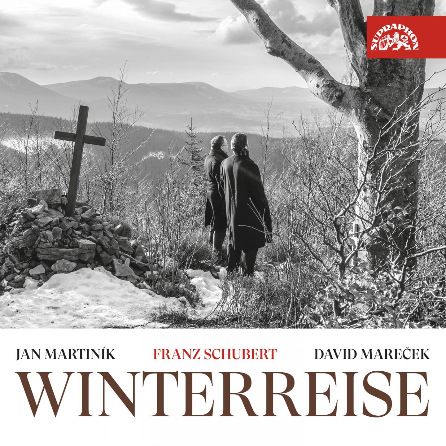 Winterreise, Op. 89, D. 911: No. 6, Flood