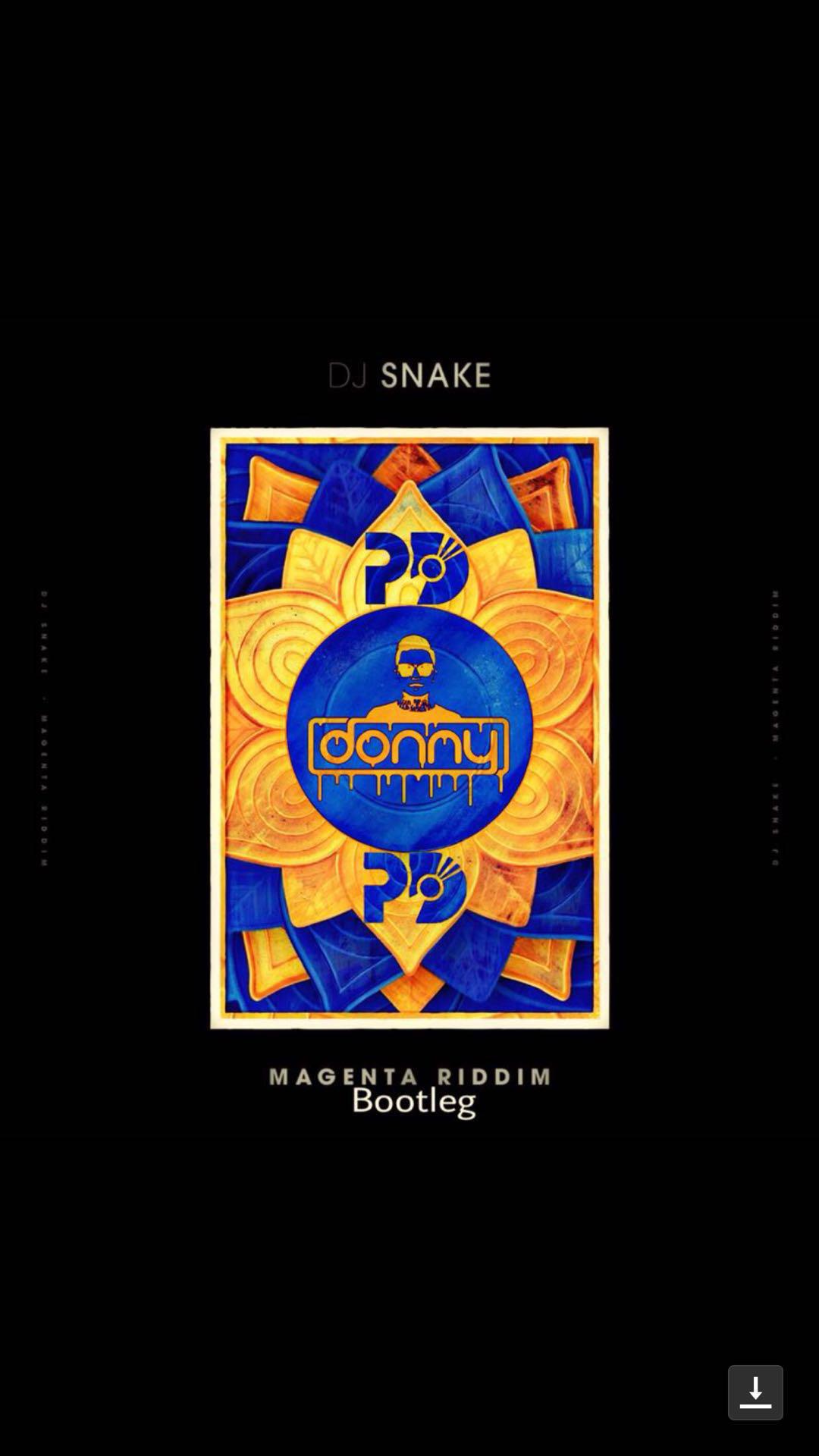 DJ Snake-Magenta Riddim（P.D/Donny Remix）