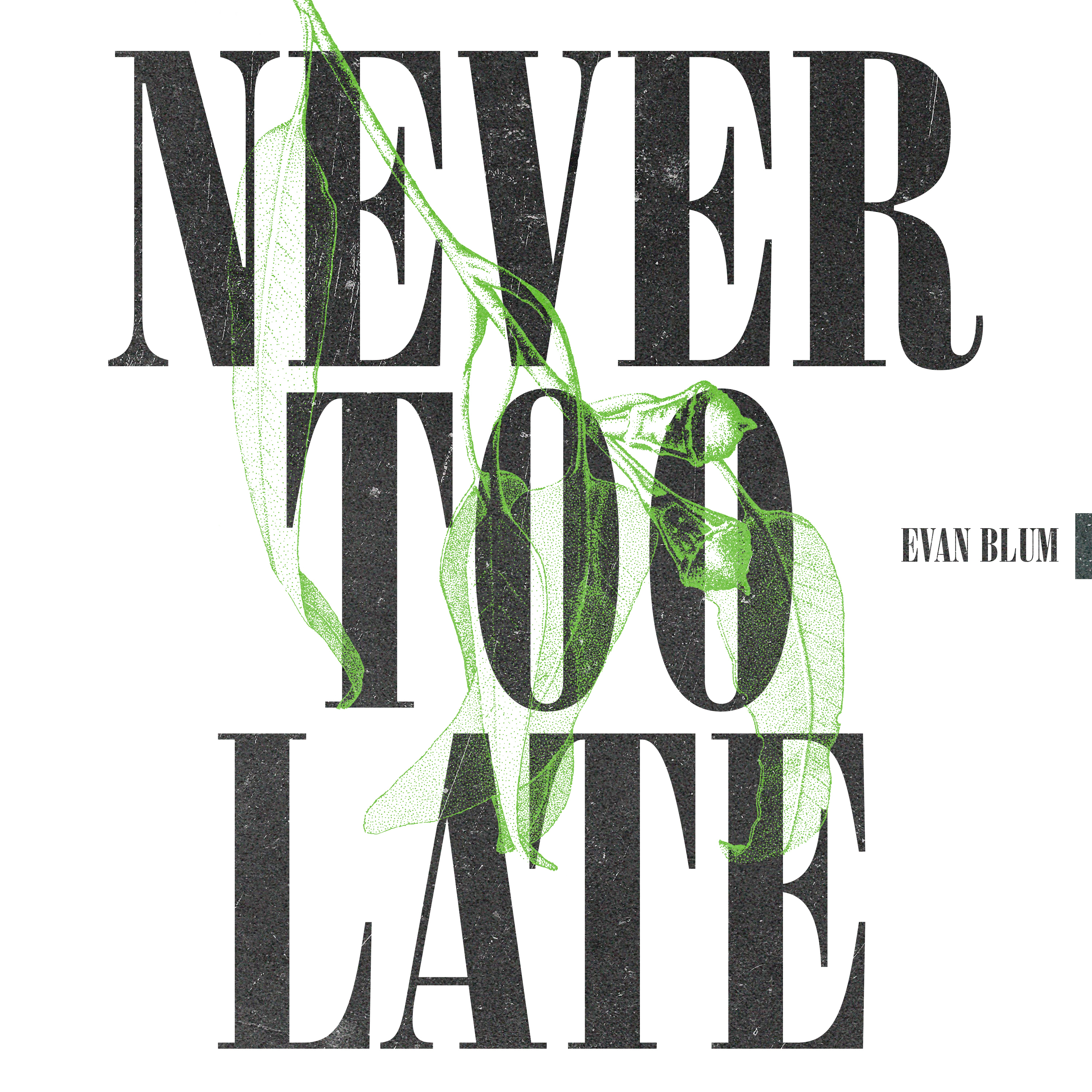 Never Too Late