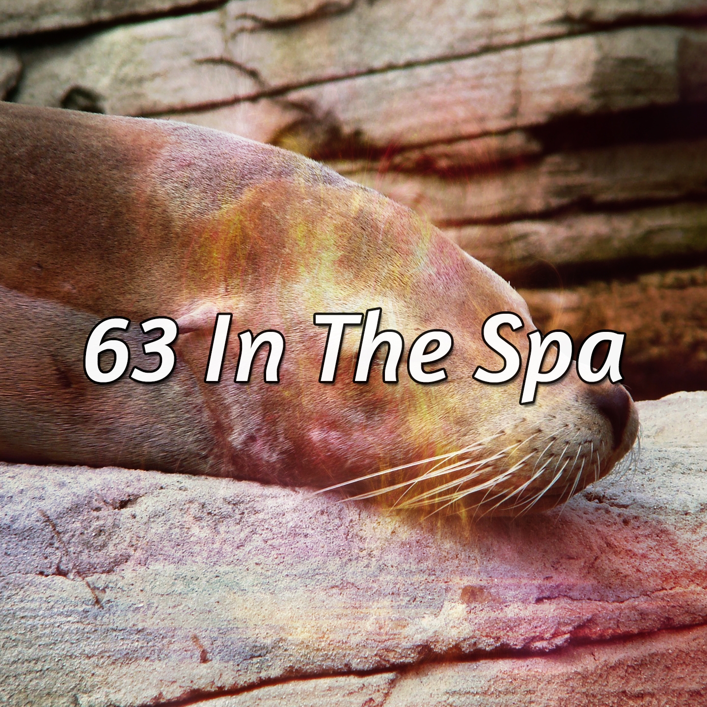 63 In The Spa