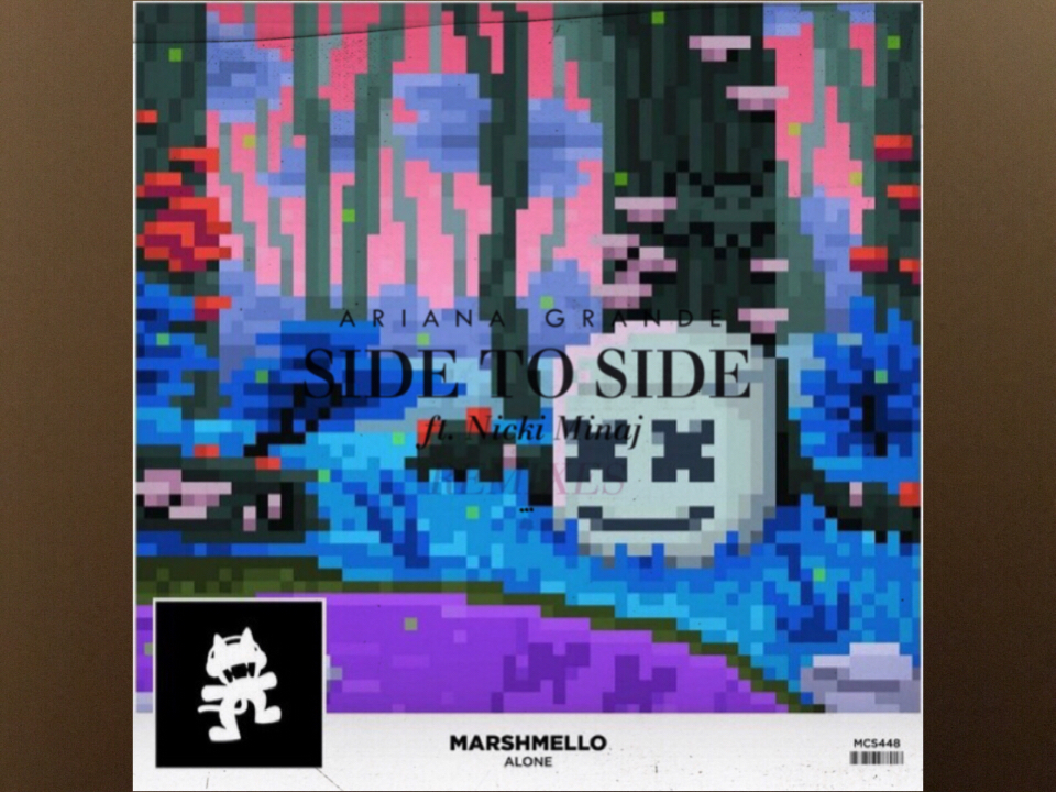 Side to Side (Slushii Rremix) & Alone(DW Mashup)