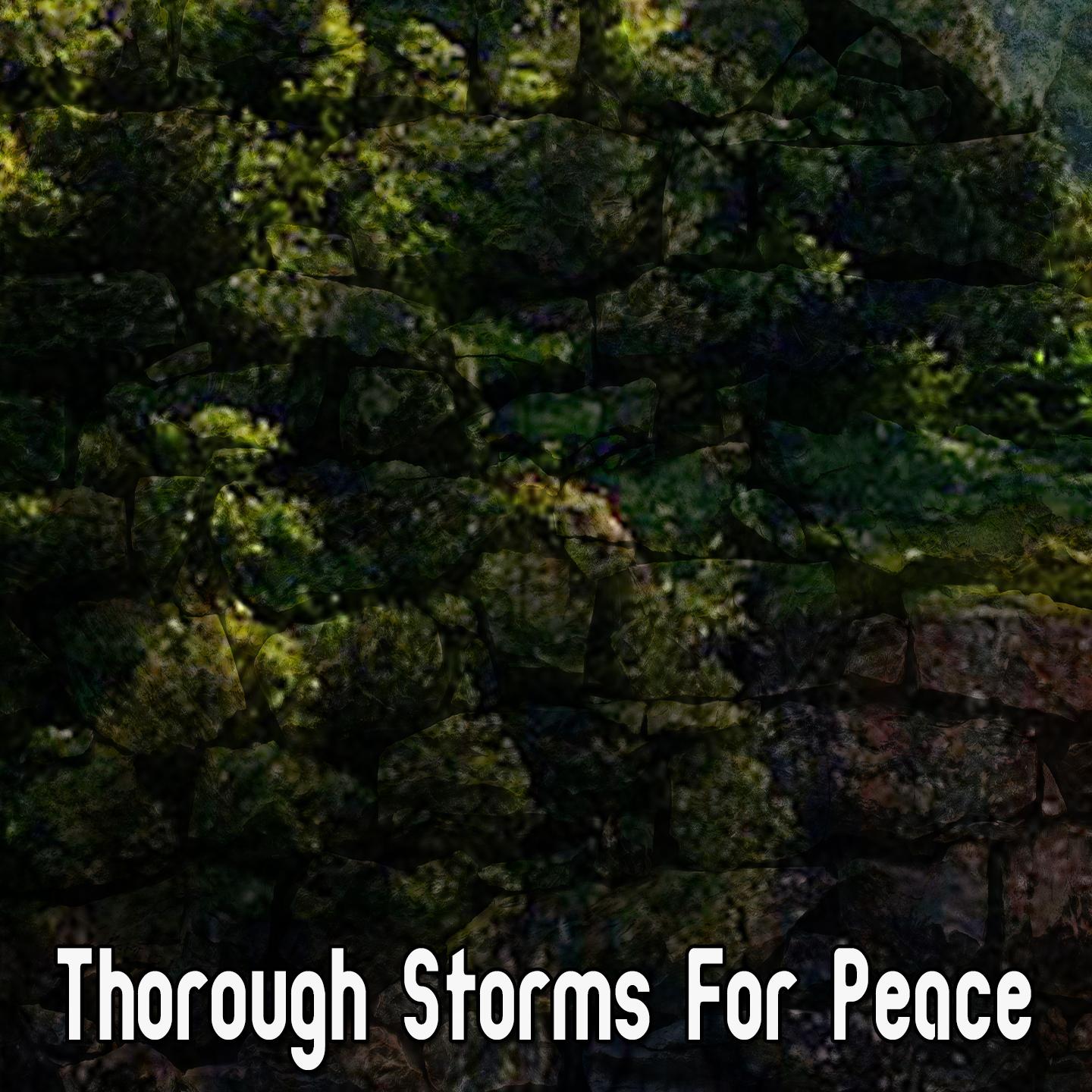 Thorough Storms For Peace
