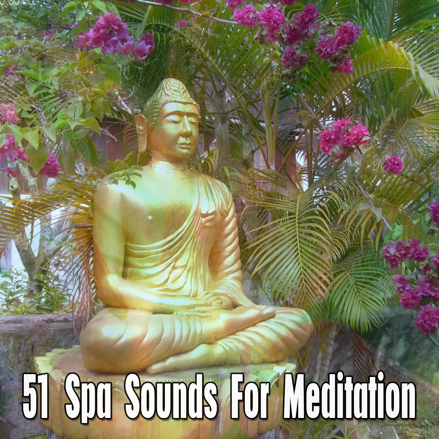 51 Spa Sounds For Meditation