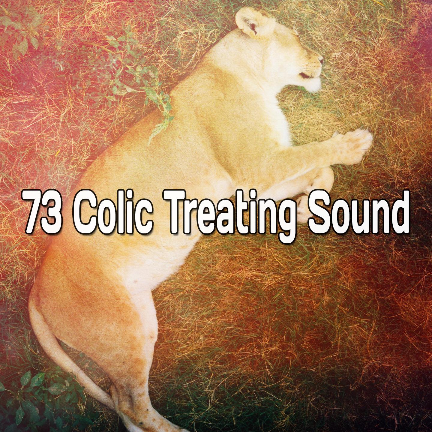 73 Colic Treating Sound