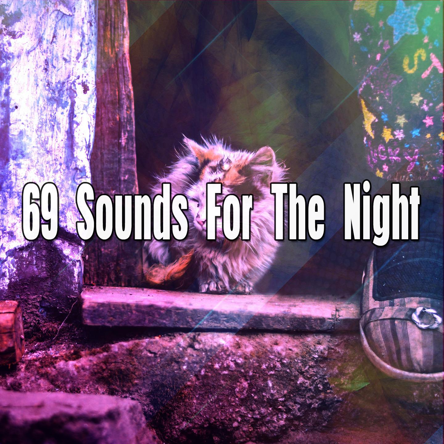69 Sounds For The Night