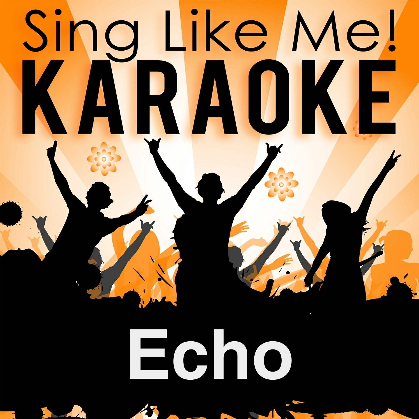 Echo (Karaoke Version) (Originally Performed By Züri West)