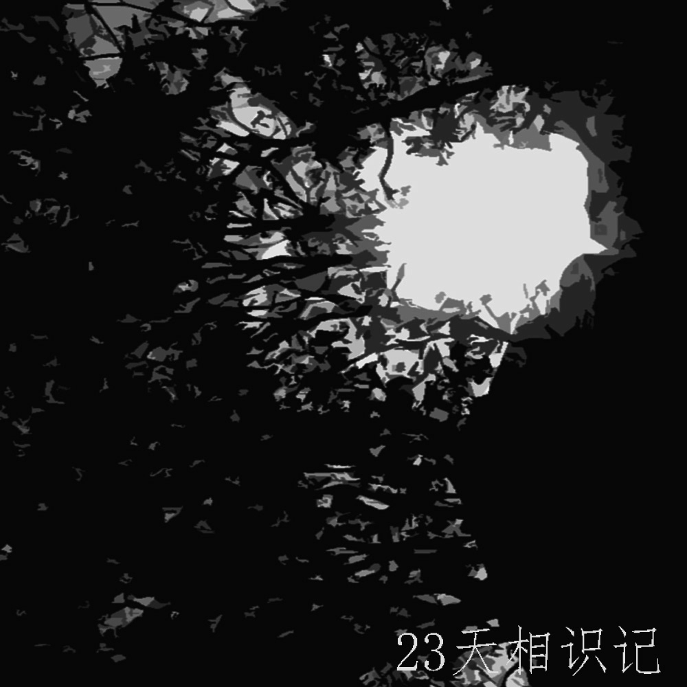 23天相识记