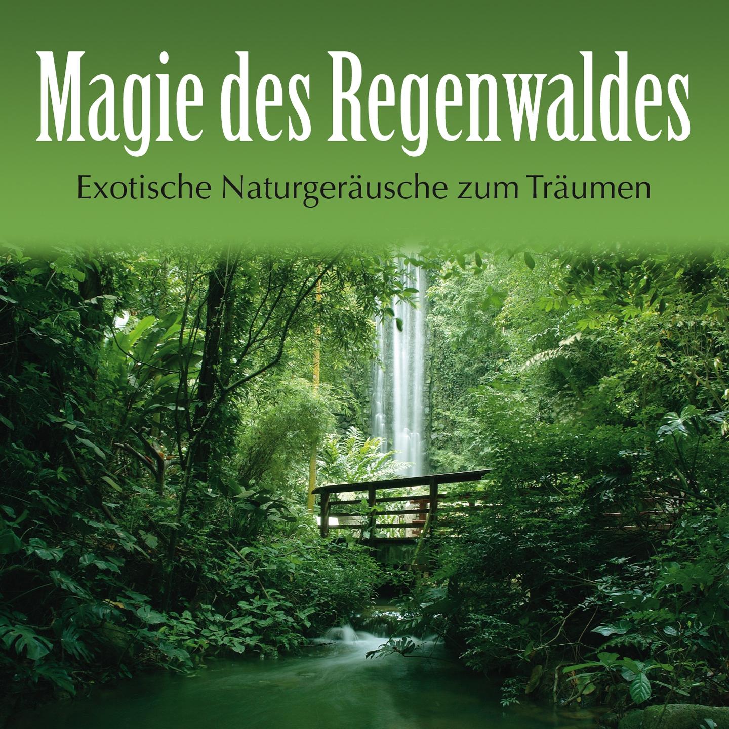 Magie des Regenwaldes: Exotische Naturgeräusche