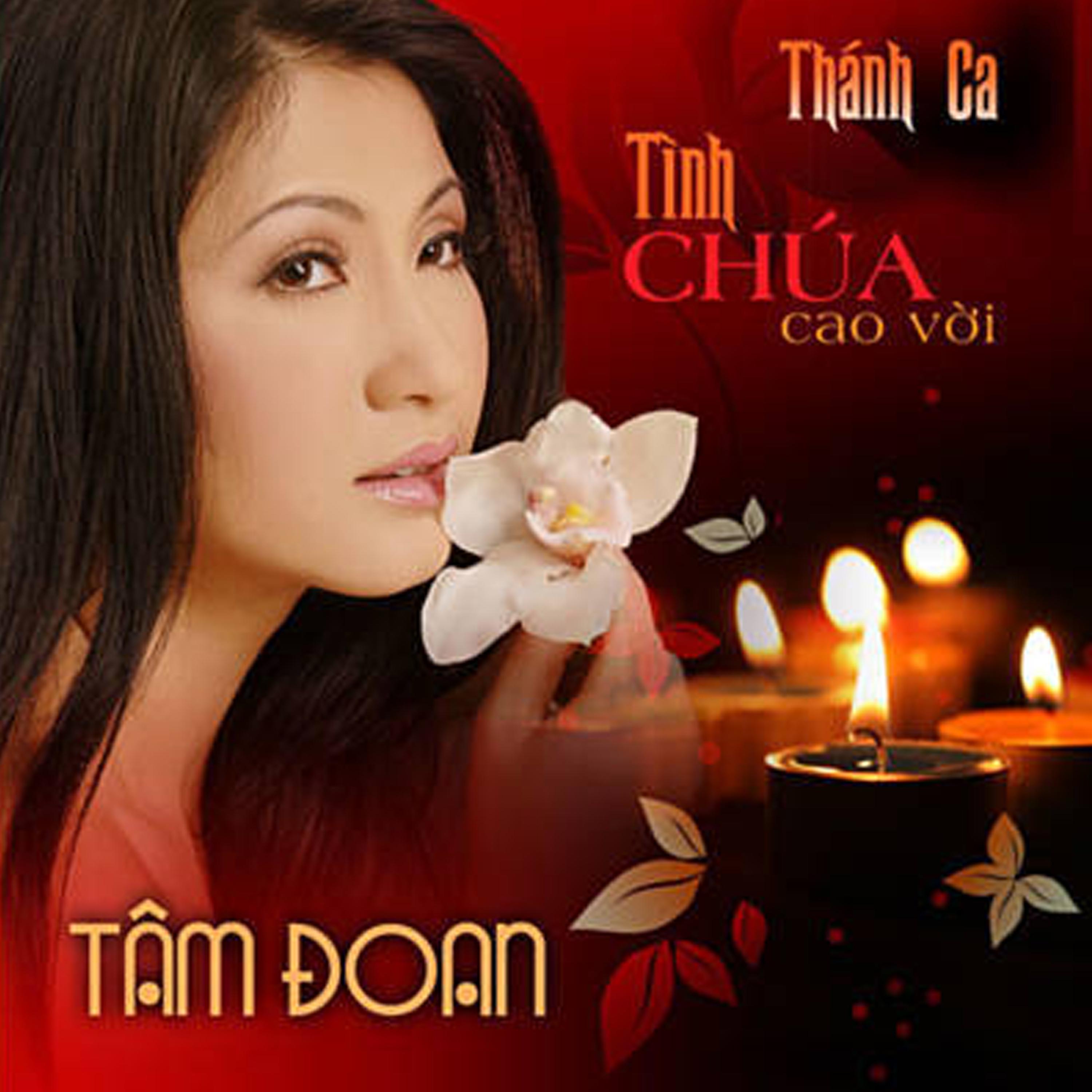 Tinh Chua Cao Voi