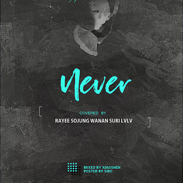 NEVER （国民儿媳妇）