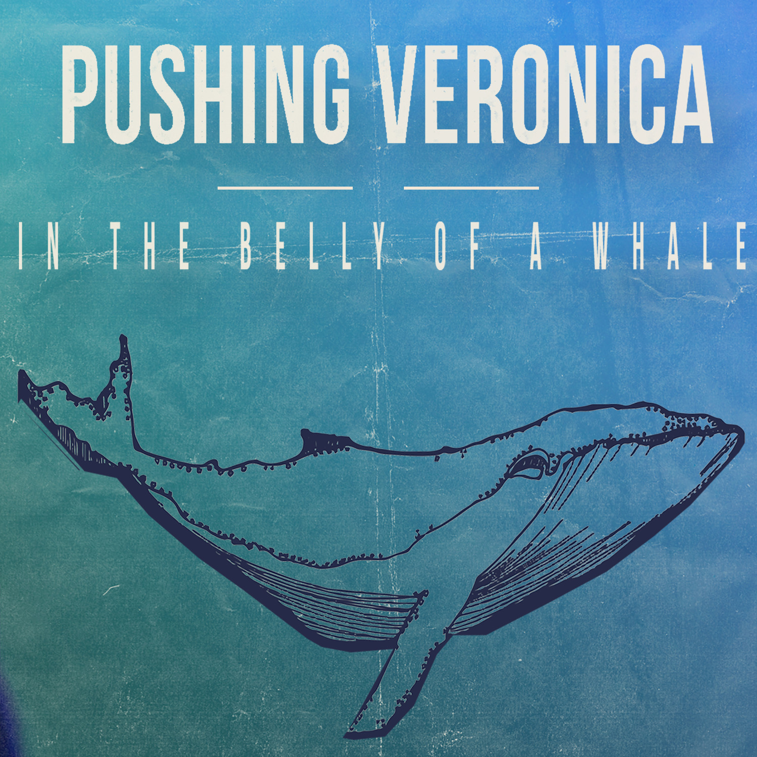 In the Belly of a Whale